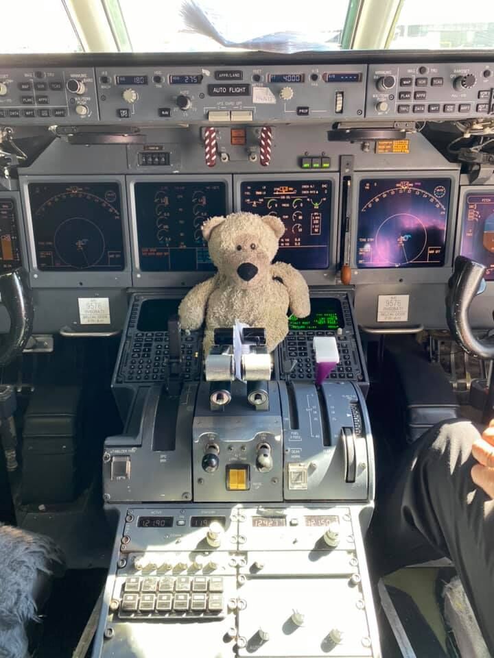 Teddy